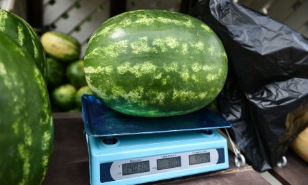 Сочный арбуз на прилавке