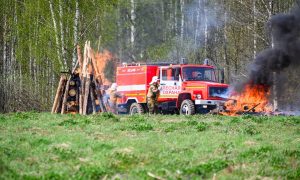 Пожар в лесу