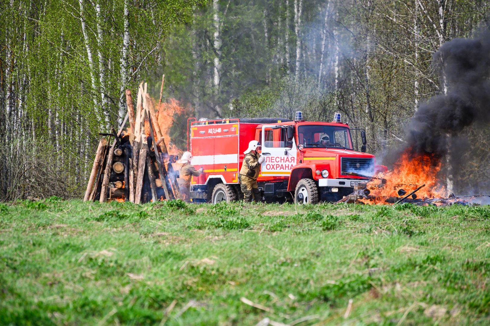 Пожар в лесу