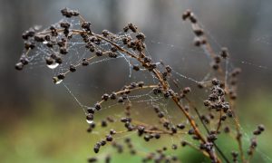 Утро в Свердловской области