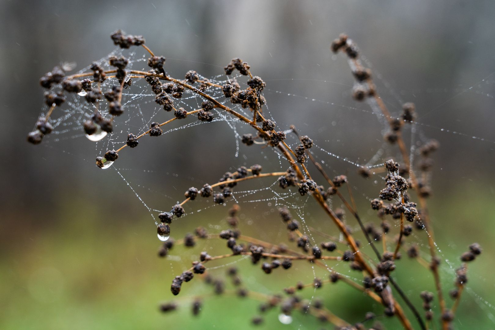 Утро в Свердловской области