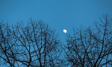 Луна в небе