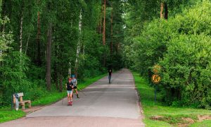 Лето в городе