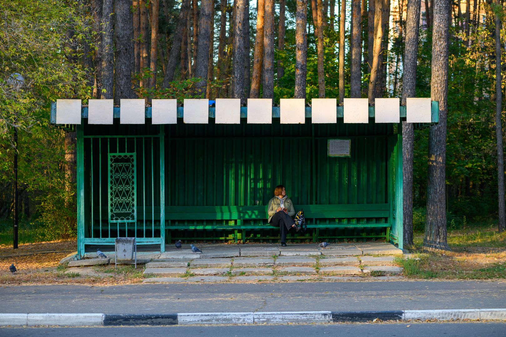 Общественная остановка