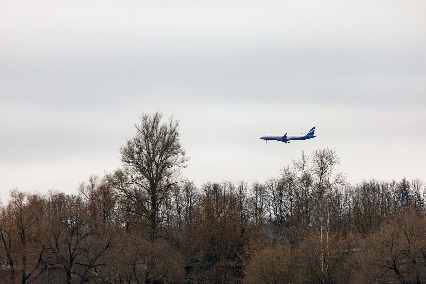 Самолет в небе