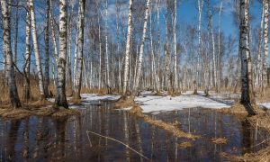 Весна пришла в город