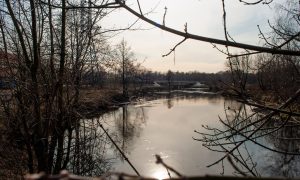 Грязная река