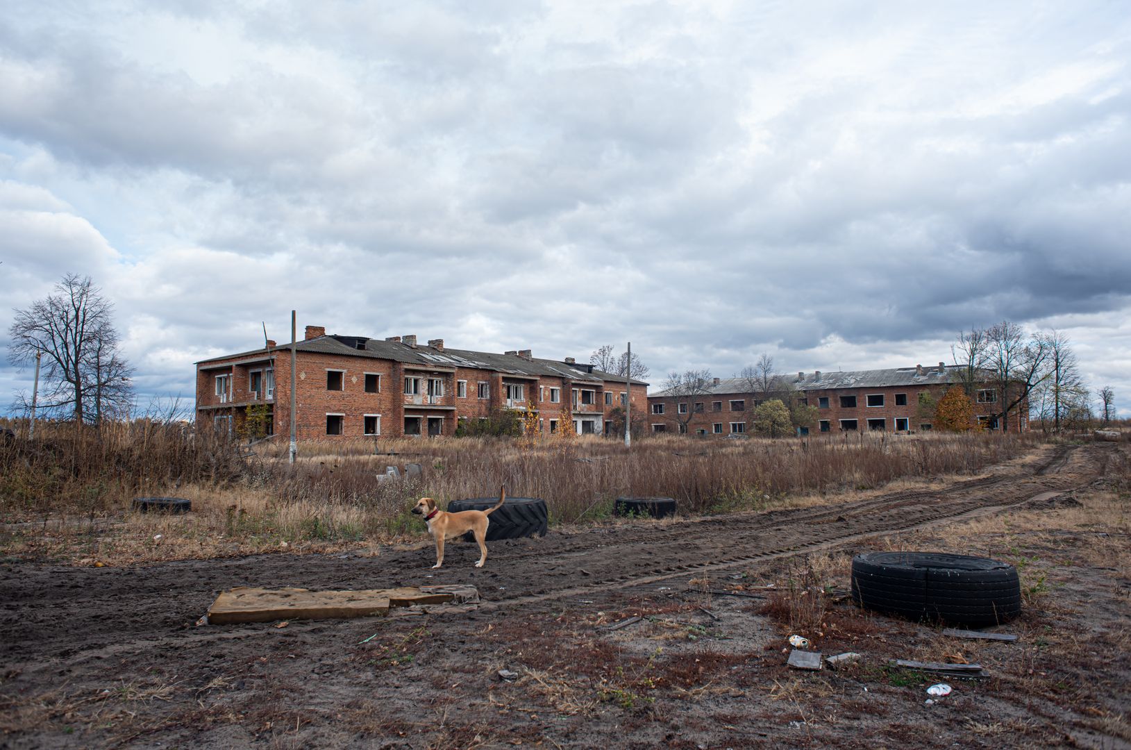 Заброшенная деревня