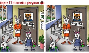 В школе ходят зайцы