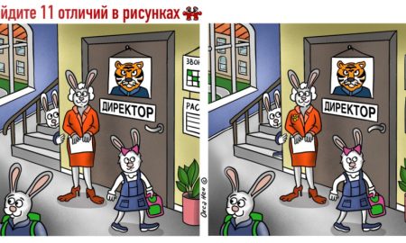 В школе ходят зайцы