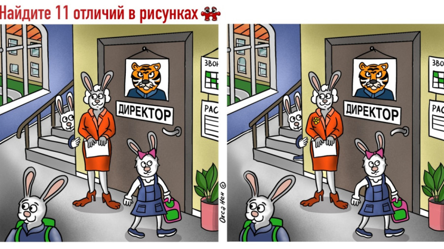 В школе ходят зайцы