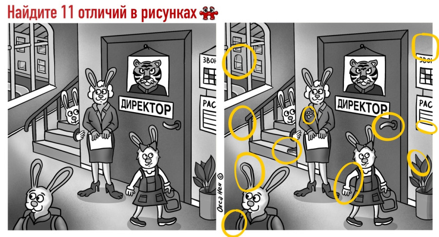 На картинке показаны отличия