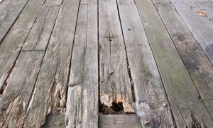 Гнилые доски