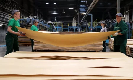 Фанерный комбинат