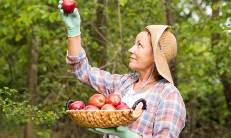 Женщина рассматривает сорванное в саду яблоко.