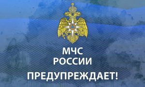 МЧС РОССИИ