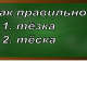 правописание слова тёзка
