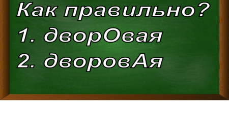 ударение в слове дворовая