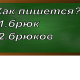 правописание слова брюк