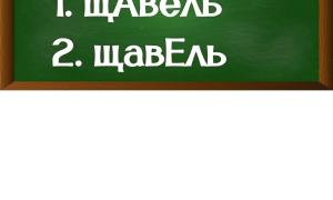 ударение в слове щавель