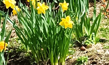 Екатеринбург