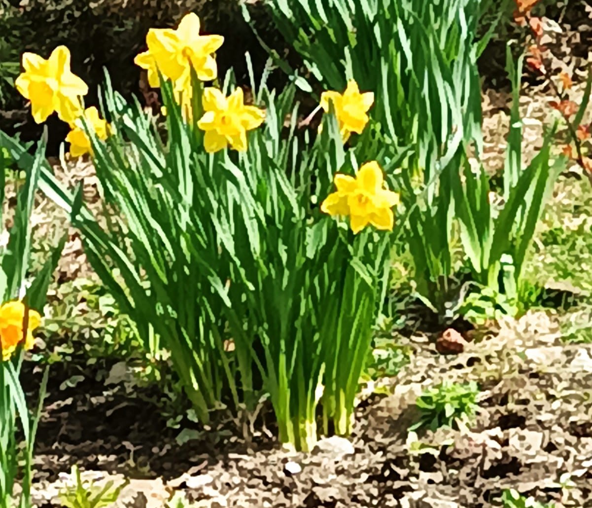 Екатеринбург