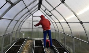 обработка теплицы