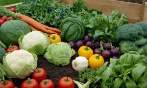 зелень и овощи