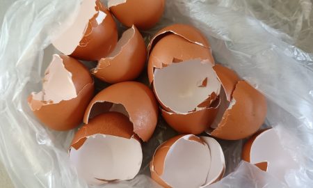 яичная скорлупа