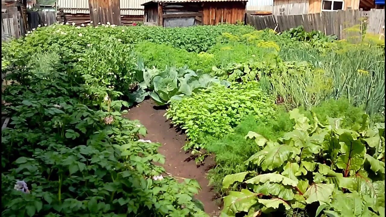 маленький огород