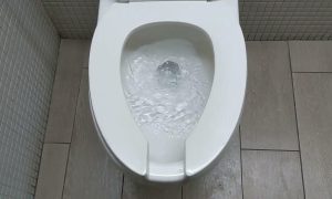 белый унитаз