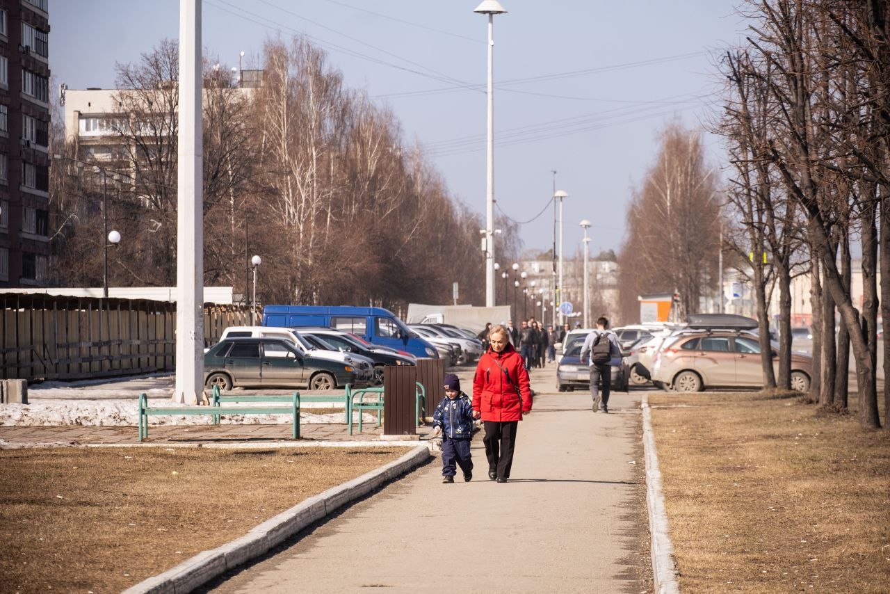 Будущий яблоневый сад в Верхней Пышме