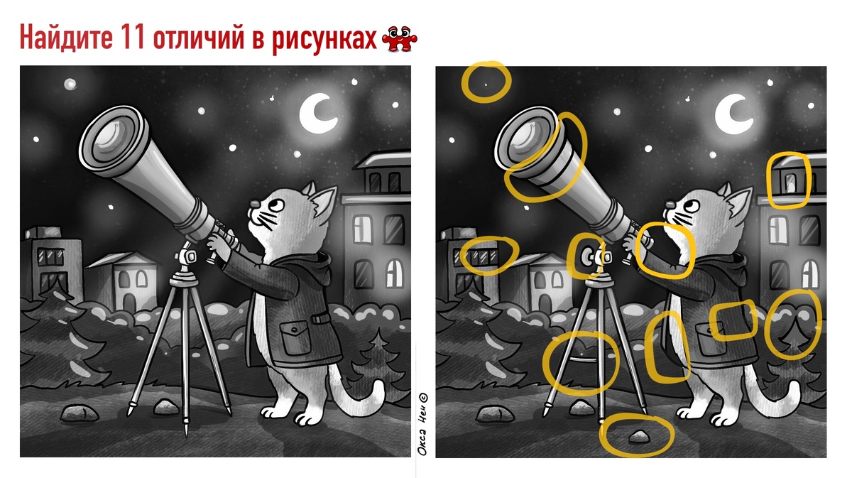 Кот смотрит на звезды