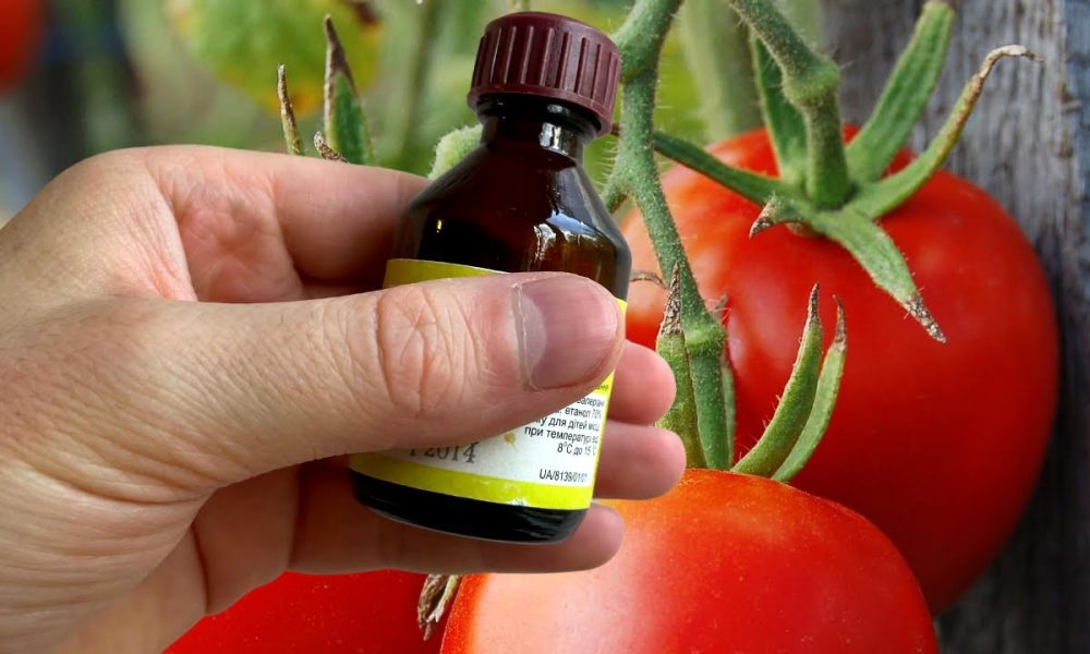 Нашатырный спирт