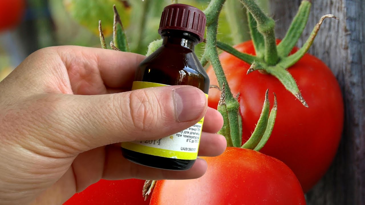 Нашатырный спирт