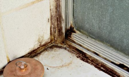 Черная плесень