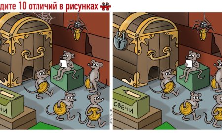 На картинке мыши