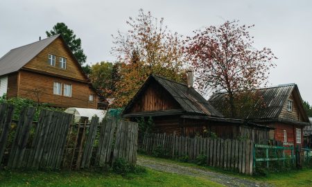 деревья рядом с домом