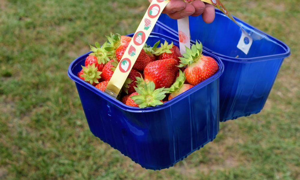 Ведра клубники