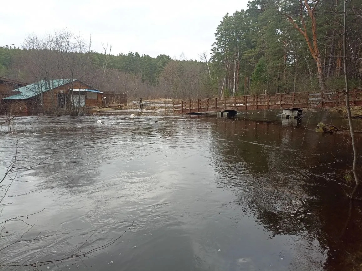 Затопленный природный парк