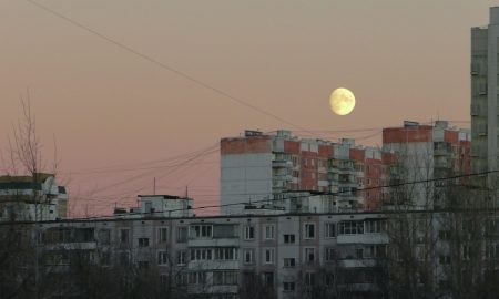 Розовая Луна