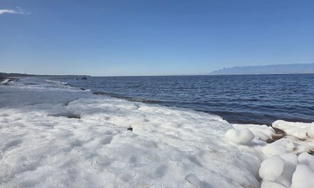 Лед у водоема.