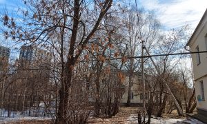 Екатеринбург