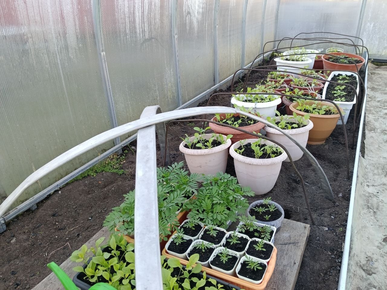 Горшки садовые