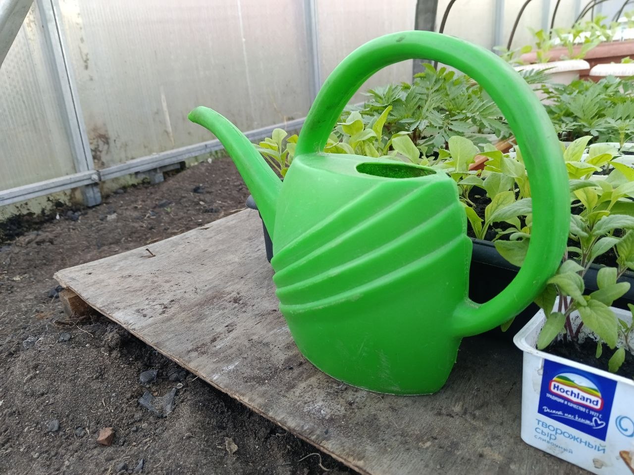 Подкормка в саду