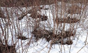 Екатеринбург