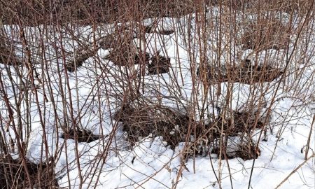 Екатеринбург