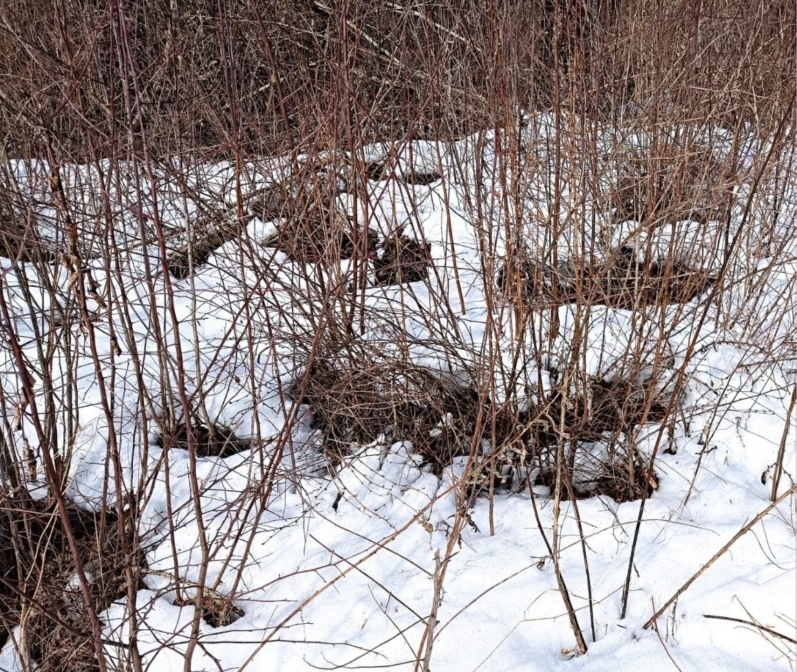 Екатеринбург