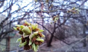 Екатеринбург