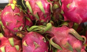 Драгонфрукт